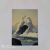 Card Jim Warren – Série 2 – More Beyond Bizarre – Nº 16 – Romantic Sea (1994)