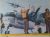 Poster série Velhas Aguias 10. P-16A Tracker FAB.