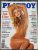 Playboy Nº 246 – Ana Elize – Janeiro 1996 ( Revista com Pôster) (cópia)