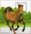 República Saaraui – Cavalos – 1995 – Bloco