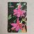 Orquídea do Cerrado – Sophronitella Violacea – TELEGOIÁS | Cartão Telefônico | CTEL-0145