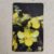 Orquídea do Cerrado – Cyrtopodium Glutiniferum Raddi – TELEGOIÁS | Cartão Telefônico | CTEL-0147