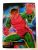 Card – Fleer Ultra Spiderman Nº 80 – Green Goblin (Duende Verde) Marvel – 1995
