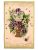 Cartao Postal – Flores – Anos 1908