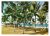 Cartao Postal – Vista do Jardim de Allah – Salvador – Bahia – Anos 1970 – Mercator