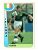 Card Copa Do Mundo de Futebol 1994 – Multi Editora – N° 191 – Irlanda – Keane