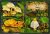 Palau – Cogumelos exóticos – 1989 – S/Completa – Bloco com 4 selos