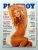 Playboy Nº 246 – Ana Elize – Revista com Pôster – Janeiro 1996