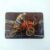 Calendário de Bolso (Tema MotoCross) Ano 1987 – Calendário estrangeiro (Portugal)