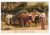 Cartao Postal Antigo – Portugal – Porto – Costumes de Arredores – Anos 1907