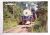 Cartão Postal – Rondônia (Porto Velho) Estrada de Ferro Madeira-Mamoré