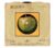 Disco – Compacto Simples – Mary Hopkin – Those Were The Days – Vinil – Anos 60
