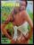 Fiesta Nº 09 – Capa Suzana Valente (Revista com Pôster) Outubro de 1976