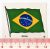 Antigo Plastico Adesivo – Coleção Nora – Bandeiras Nacionais – Nº 1 – Bandeira do Brasil – Anos 60